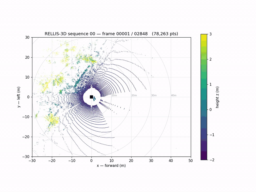 Top-down BEV of the raw RELLIS LiDAR point cloud across the full 2849-frame sequence. Each point is height-colored. Range rings at 5/10/20/30/40 m mark distances. Trees on the trail edges are bright yellow; ground returns are dark.