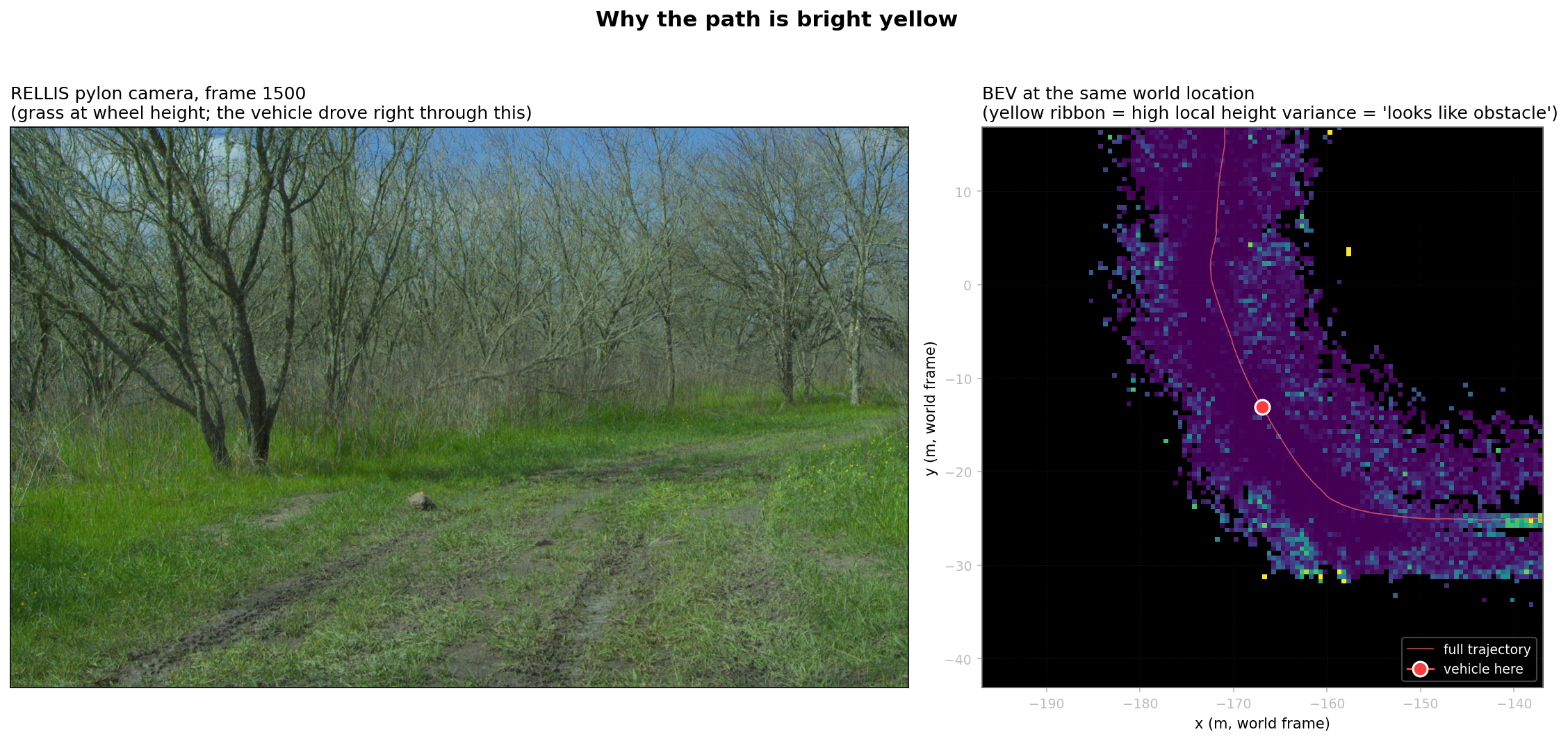 Two-panel side-by-side. Left: RELLIS pylon camera frame at LiDAR frame 1500. The Polaris Ranger drove through this scene. The trail in front of it is dirt with low grass on either side; small puddles, no obstacles. Right: the BEV map rendered around the same world location, cropped to a 60-metre window with the vehicle's current position marked as a white-ringed red dot and the trajectory wake in red. The cells immediately under and along the trajectory are painted yellow (high risk on the viridis colormap), while cells off-path are dark. The yellow ribbon along the trajectory is the failure mode this section explains.