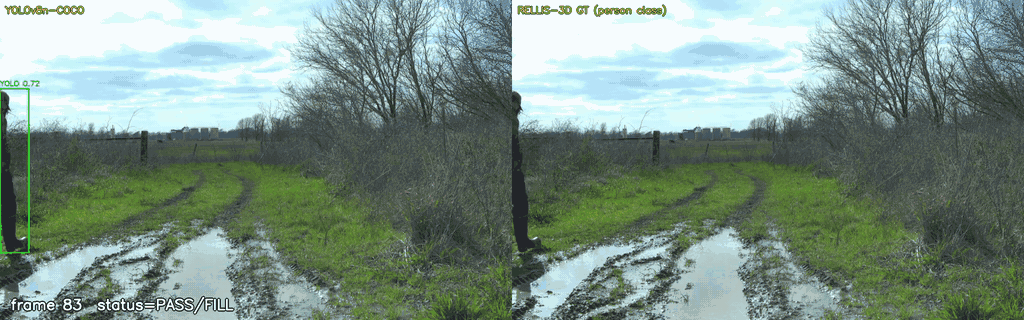 Two-panel side-by-side animation. Left: RELLIS-3D forest camera frame with a green YOLOv8n bounding box on a single worker walking ahead of the robot. Right: the same frame with the dataset's pixel-wise ground-truth person silhouette painted red. The animation plays continuously across all 158 frames of the demo segment; each frame shows whether its ground-truth mask is a fresh annotation or forward-filled from the most recent annotation, and the two false-negative frames flash with a red border. The headline numbers from this exact run, computed in the section that quantifies the detector below, are precision 1.000, recall 0.975, F1 0.987.